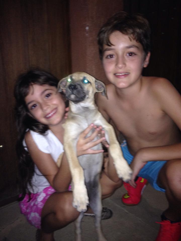 Foto de galeria